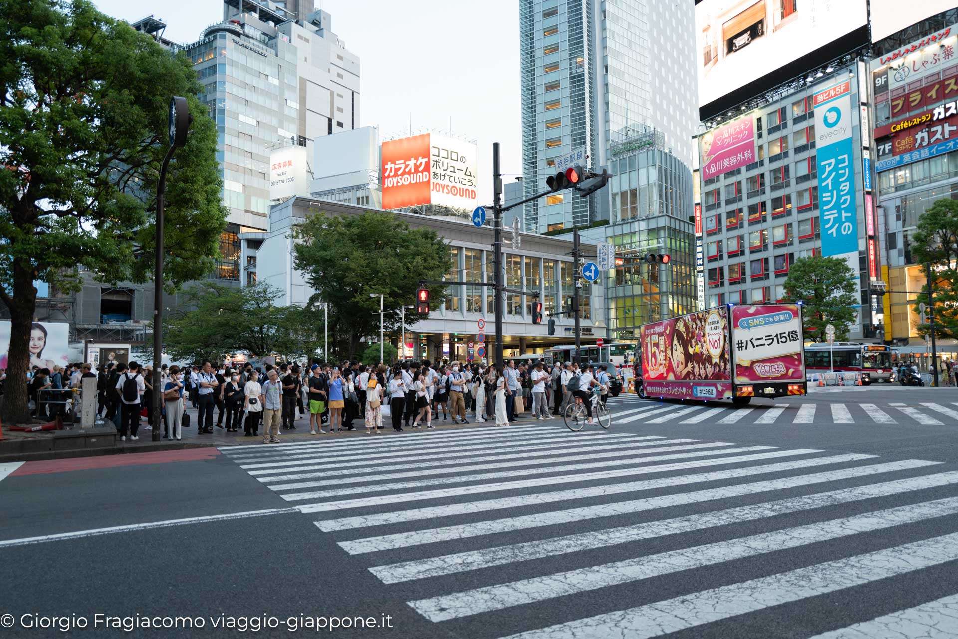 Three Must-Do Experiences in Shibuya, Tokyo